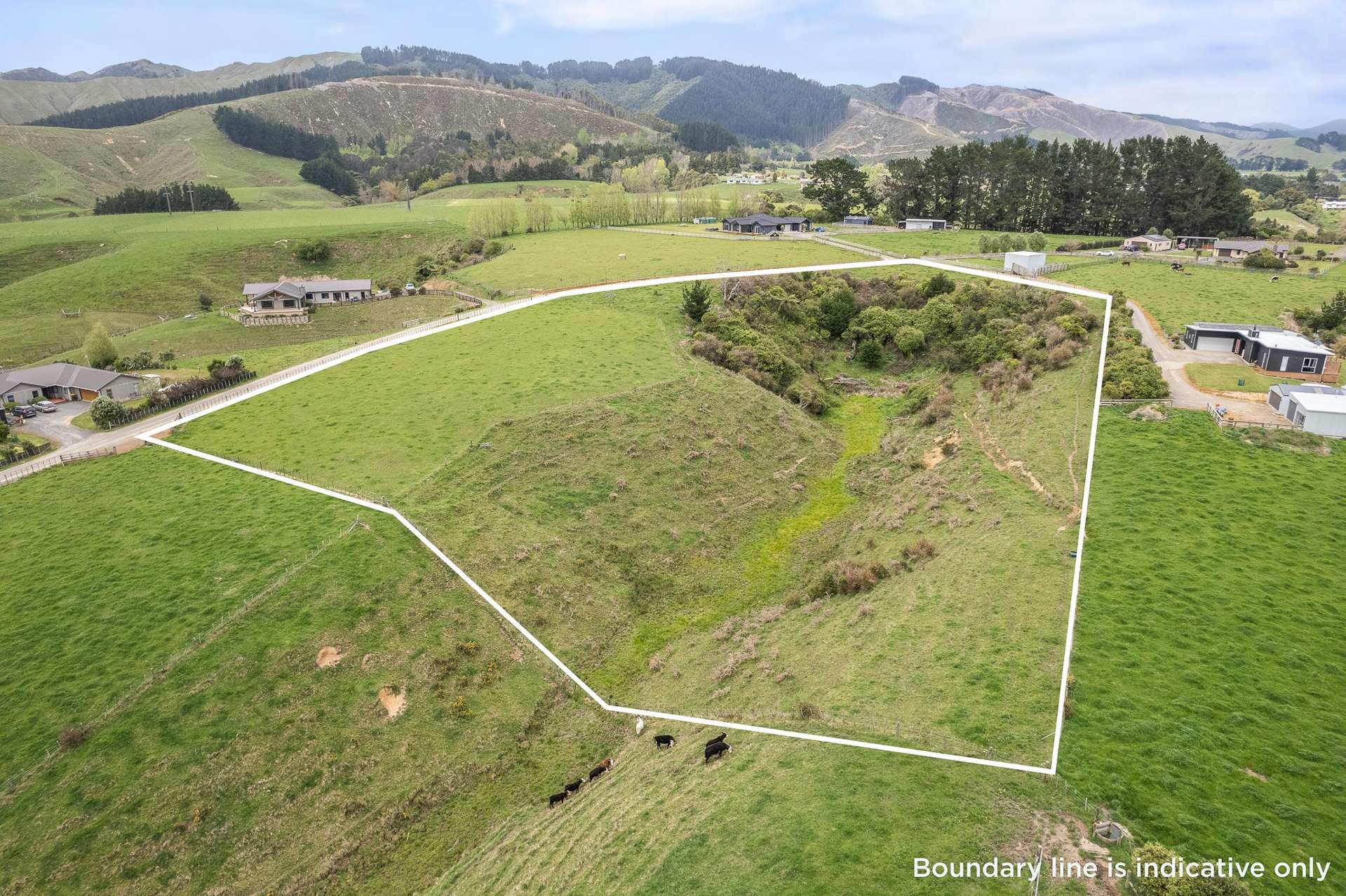 42 Serenity Lane Levin_0