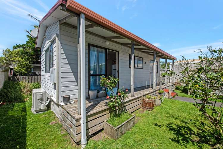 68 Kauri Street Miramar_16