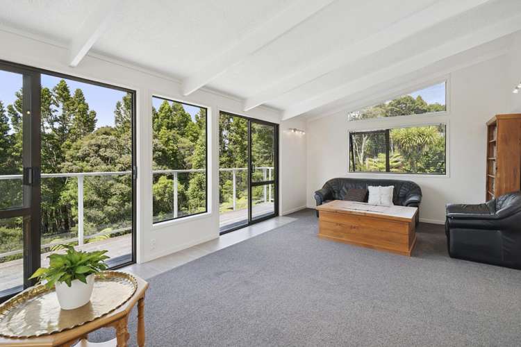 146 Albany Heights Road Albany Heights_5