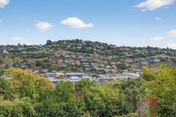 16 Konini Street Nelson South_25