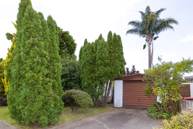 18 Auckland Road Greenmeadows_14