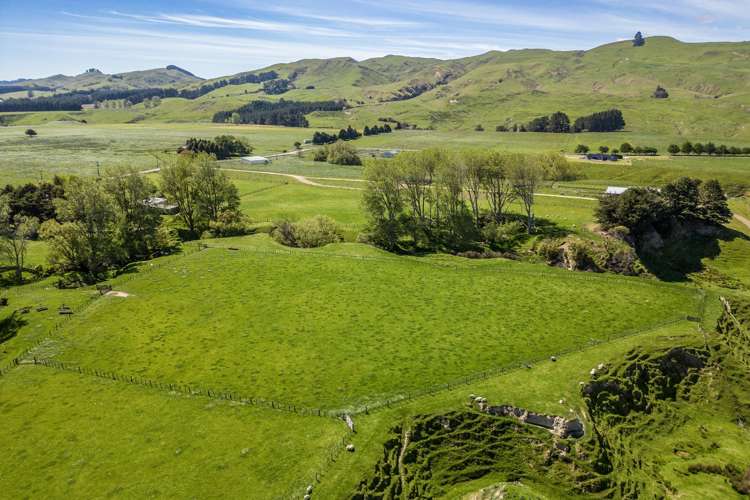 314 Rakaiatai Road Dannevirke_20
