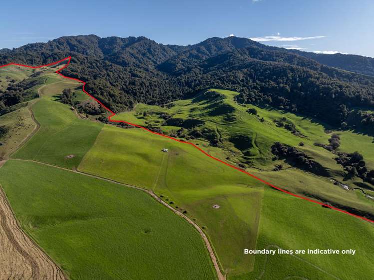 858 Oreipunga Road Maungatautari_15