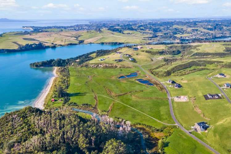 Lot 109 Weiti Bay Okura Bush_6