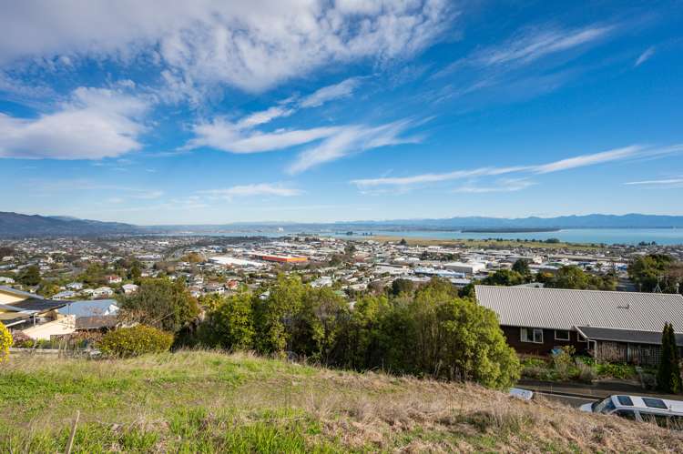 4 Kamahi Way Tahunanui_17