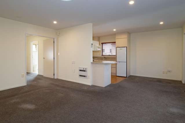 3/19 Tancred Street Ashburton_4
