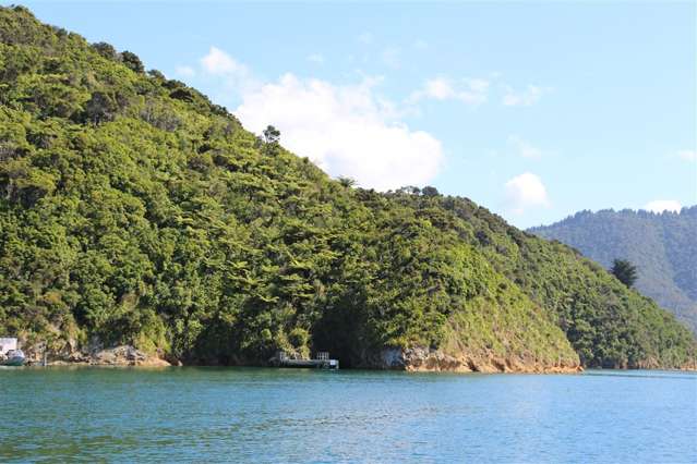 Bay Of Many Coves Marlborough_1