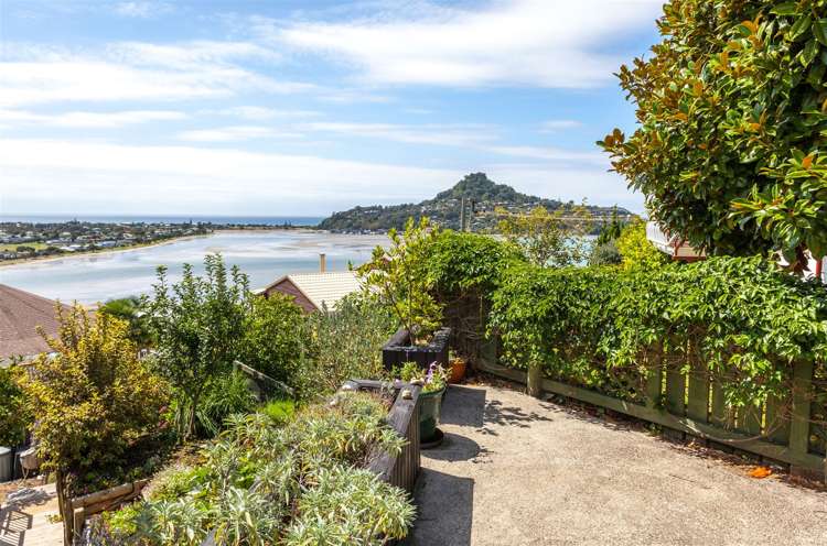 8 Pine Grove Tairua_30