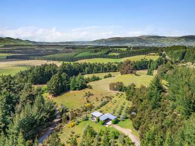 1/965 Lake Hawea - Albert Town Road_1