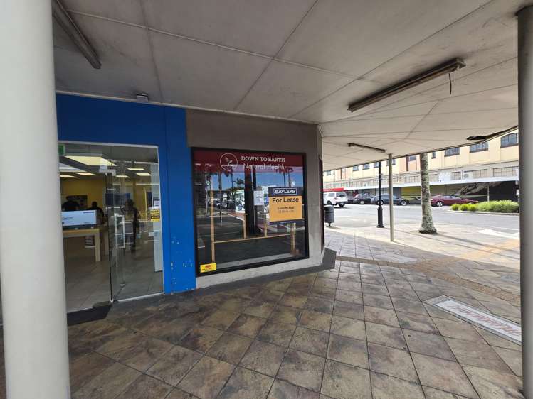 93 Grey Street Gisborne_1