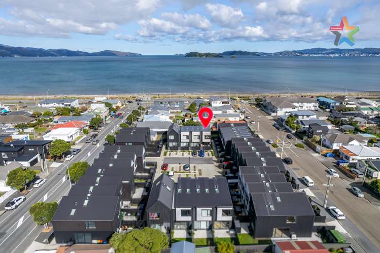 13d Cuba Street Petone_1