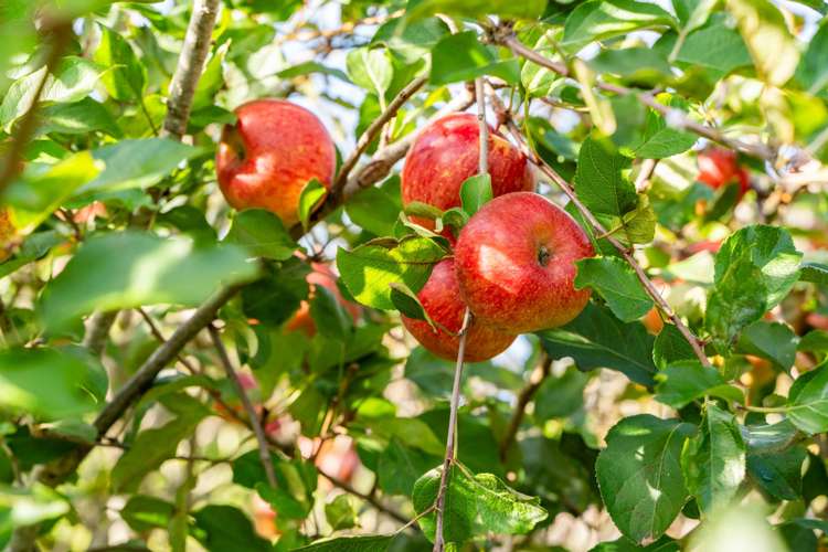 3 Mahurangi East Road Sandspit_19