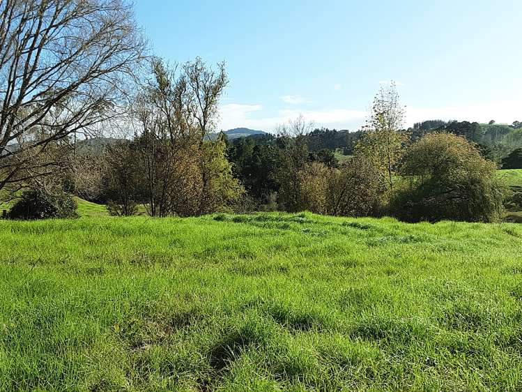 Oneriri Road Kaiwaka Kaipara Houses for Sale One Roof