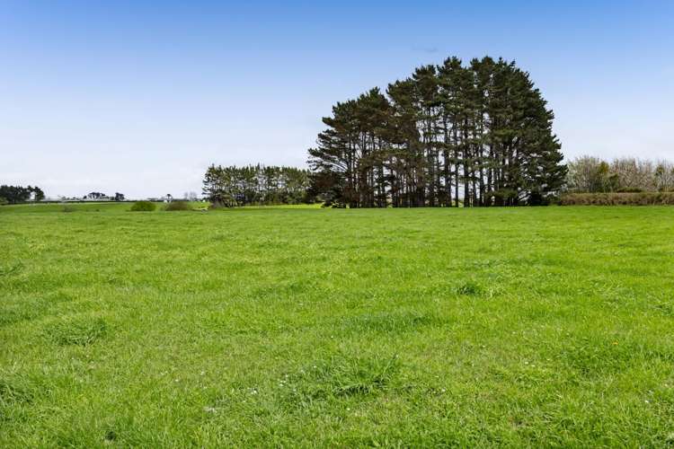 0n Ngarongo Road Normanby_13