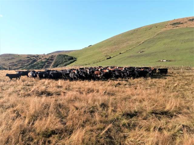 265 Glenfalloch Road Catlins Surrounds_4