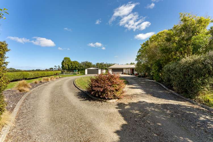 981 Roberts Line Bunnythorpe_19