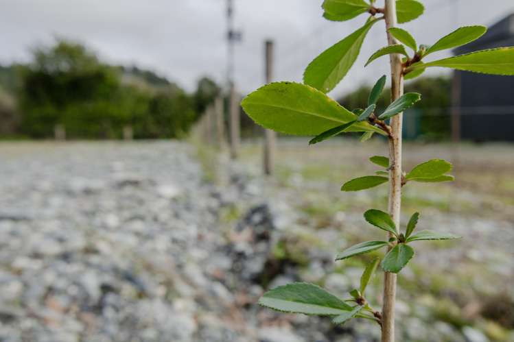Lot 3 Kaniere Tram, Kaniere Hokitika_8