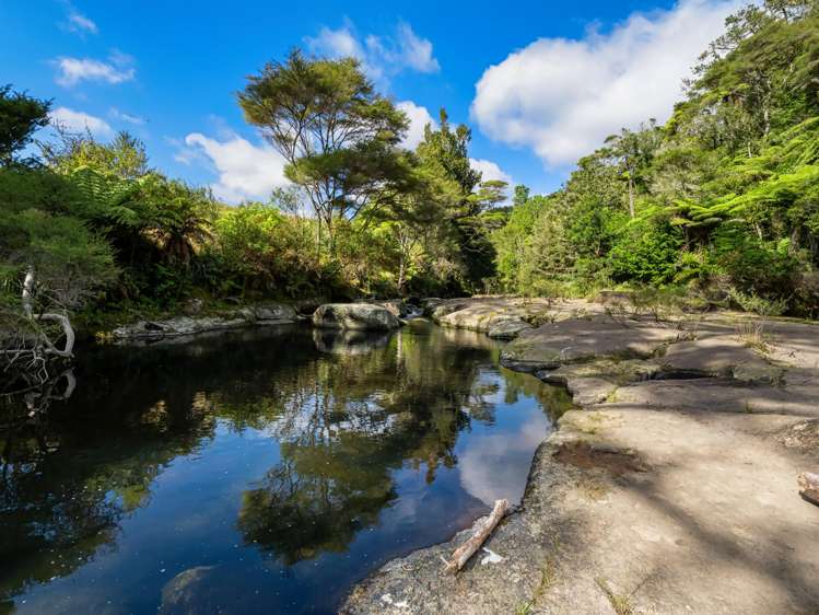 210 Wainui South Road Whakamarama_3