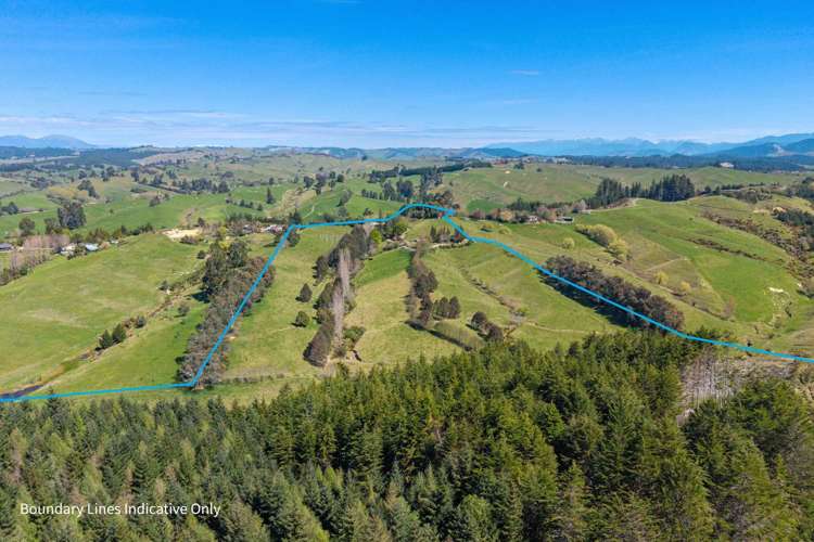 370 Rosedale Road Upper Moutere_38