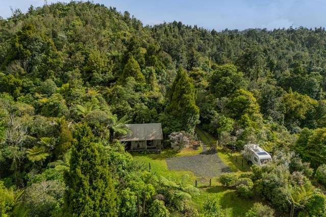 974 The 309 Rd Whitianga_1