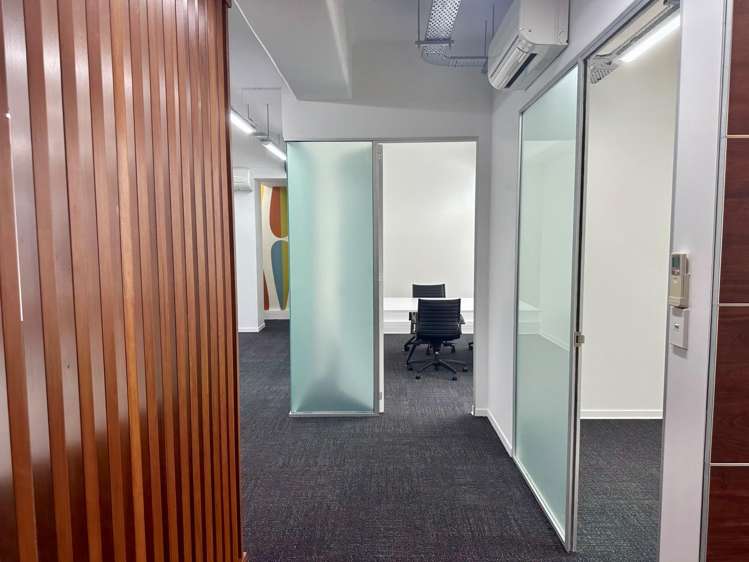 7 Windsor Street Parnell_6