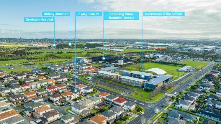 3 Magnolia Place Flat Bush_16