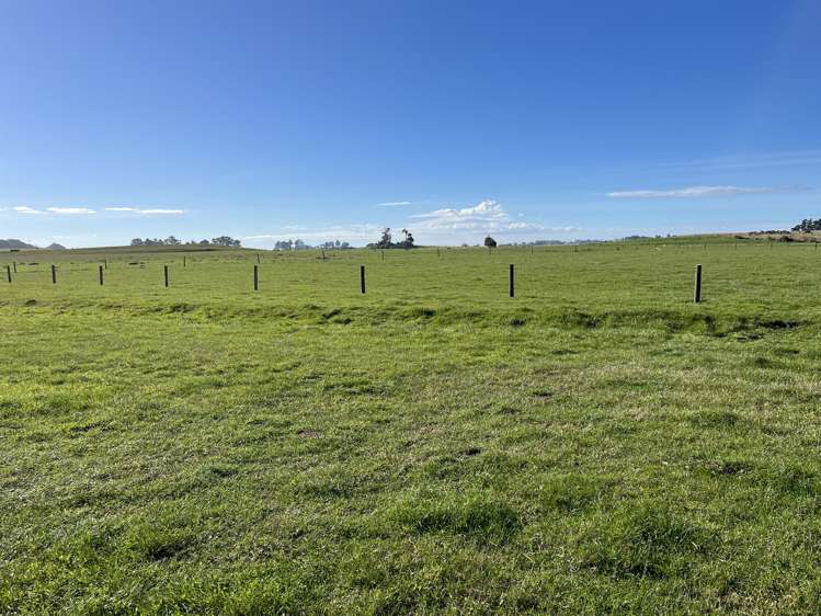 60 Seadown Road Kakanui_12