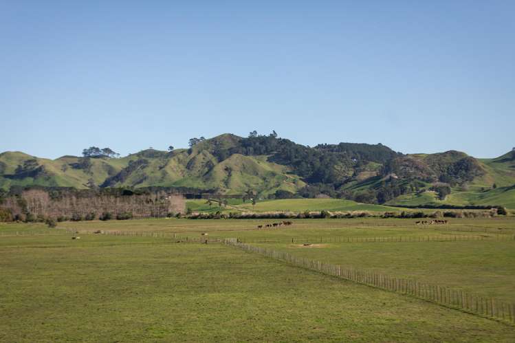 116 Seaforth Road Waihi Beach_26