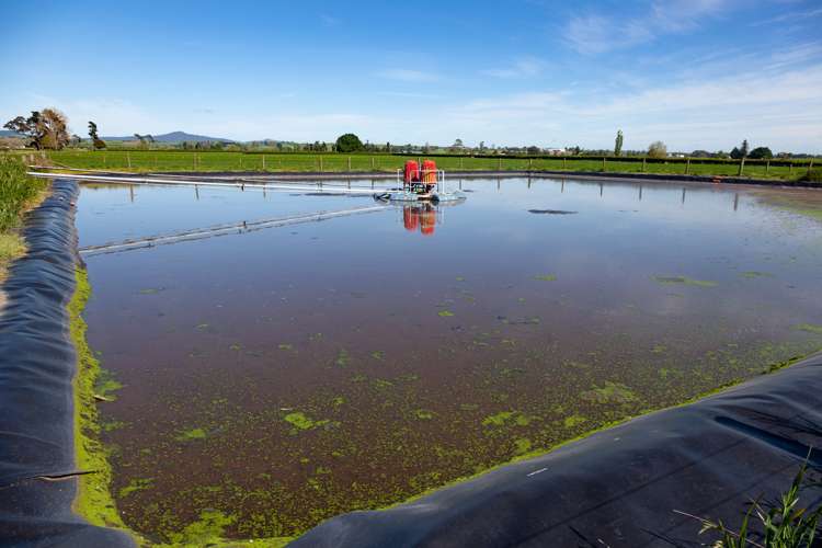 7096 State Highway 27 Matamata_6