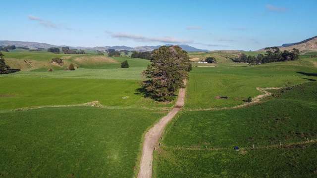 454 Parkville Road Eketahuna_1