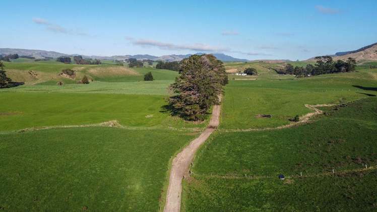454 Parkville Road Eketahuna_1