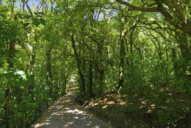 193 State Highway 1 Waikanae_4