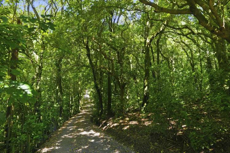 193 State Highway 1 Waikanae_4