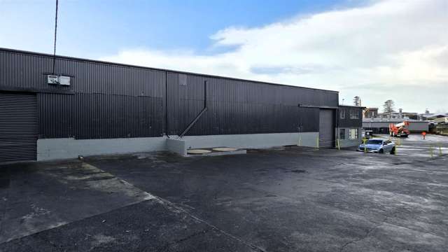 591 Rosebank Road Avondale_4