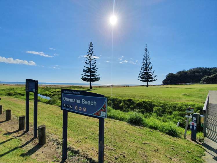 432 Onemana Drive Onemana_16