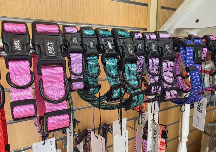 Address withheld Palmerston North_5