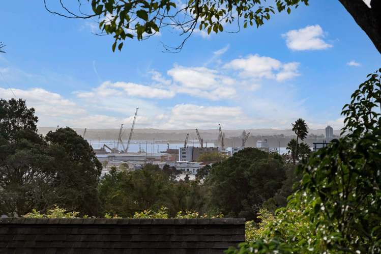 7E Burrows Avenue Parnell_20