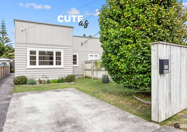 82C Wakefield Street_0