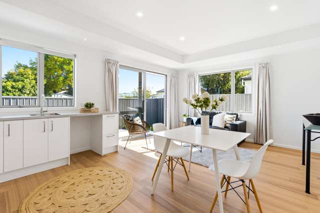 100 A and B Bush Road Mosgiel_2