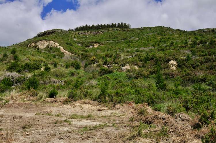 Lot 2 Gaudion Road, Peebles_5