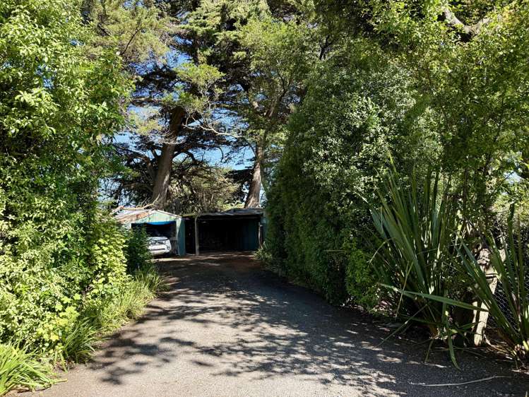 300 Moulson Street Tisbury_41