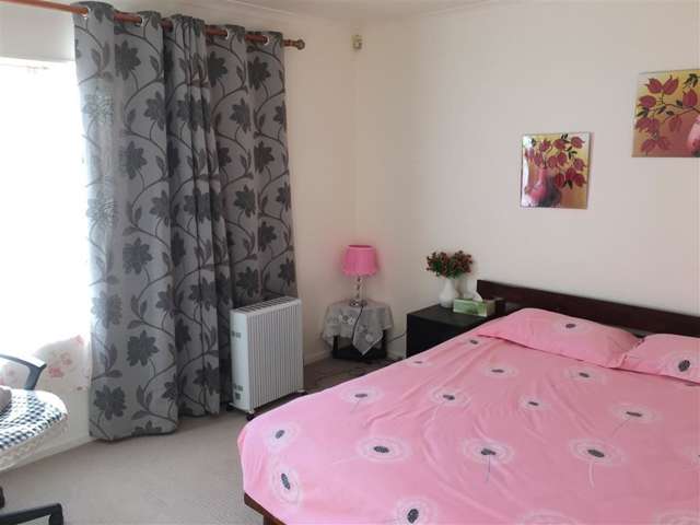 11a Albrecht Avenue Mount Roskill_4