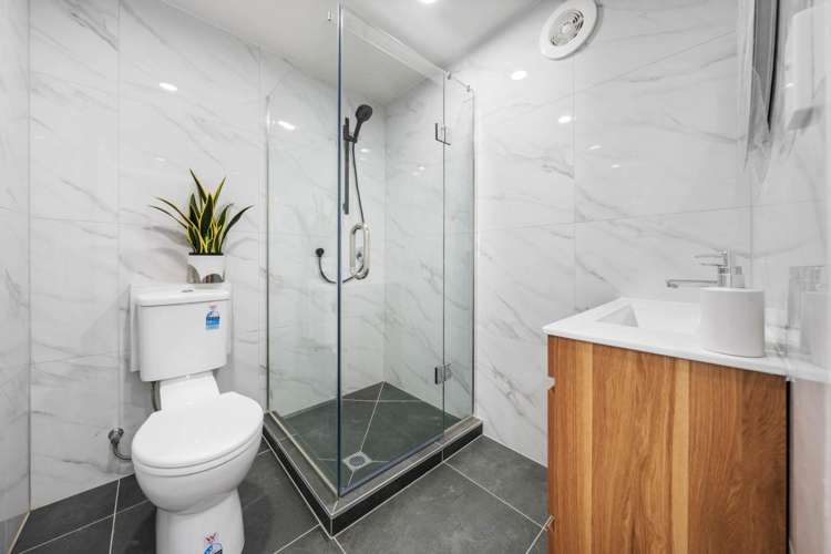 13 Belfast Street Hillsborough_19