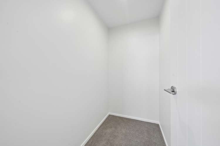 5 Palm Avenue Lyall Bay_12