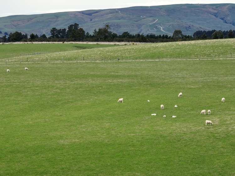 267 (Farm) Wehenga Road Hindon_6