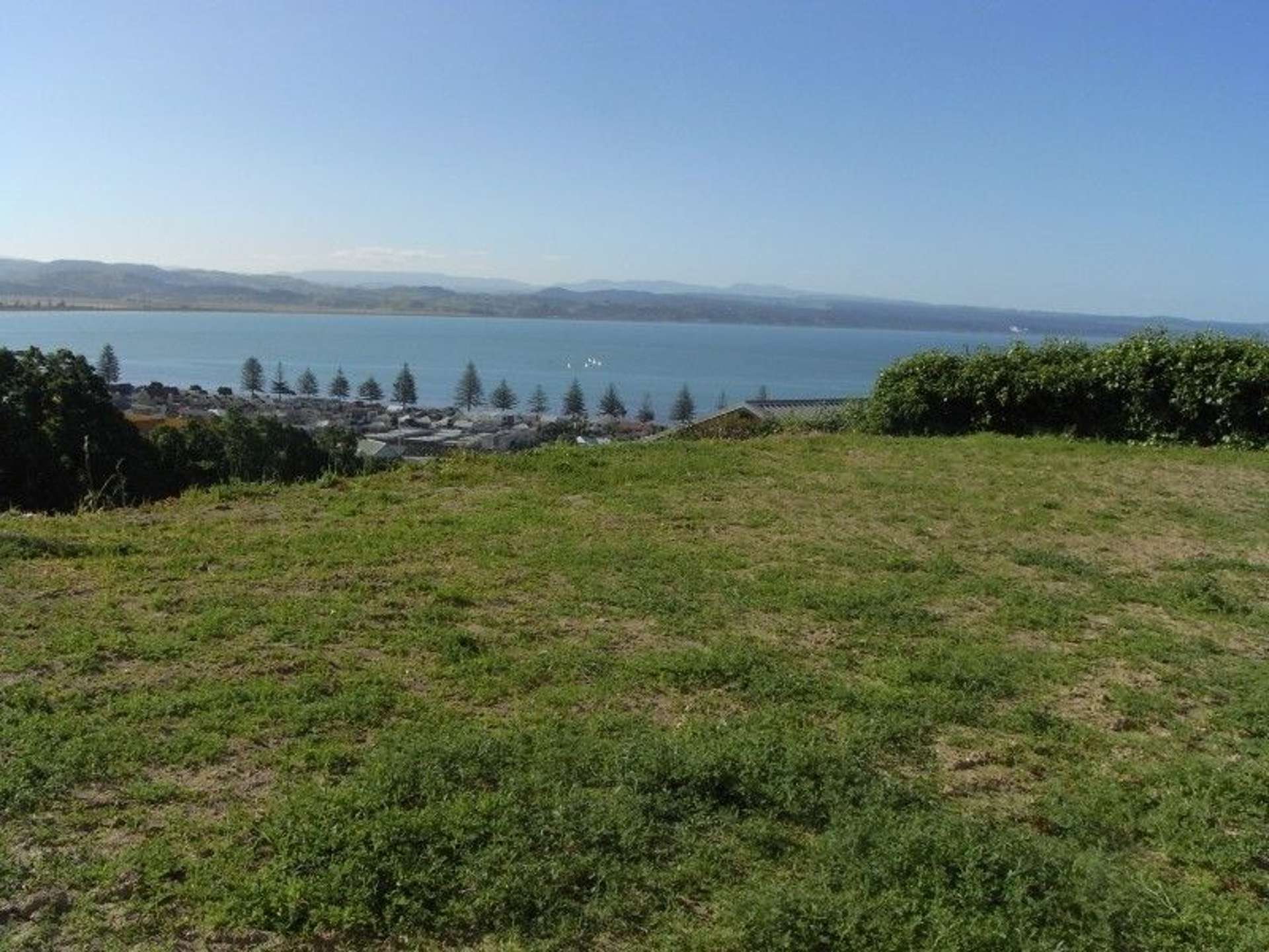 12a Roslyn Road Bluff Hill_0