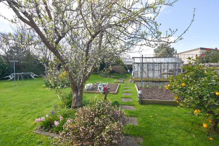 38 Philip Street Carterton_12