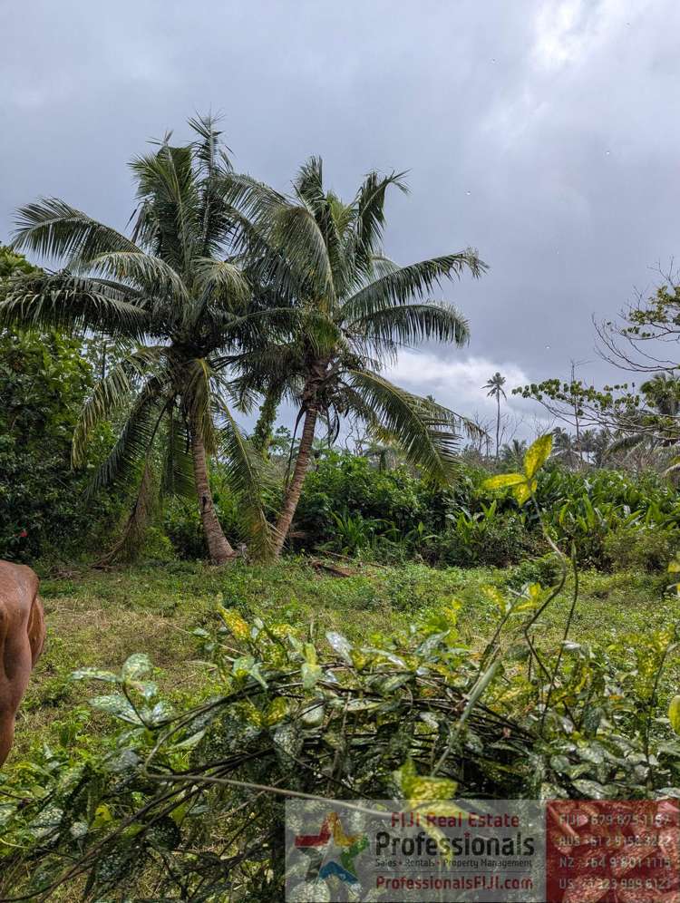 Address withheld Taveuni_10