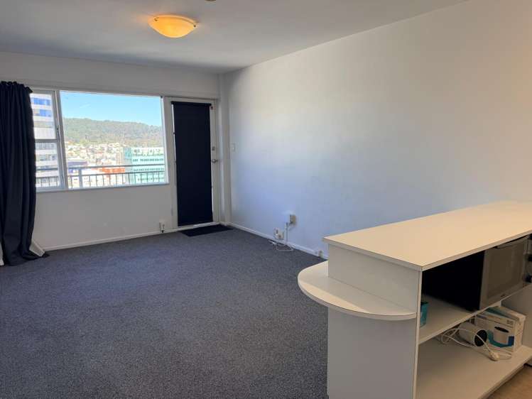  250/217 The Terrace Wellington Central_13