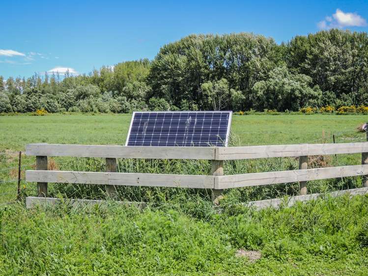 Hamilton Road Fairlie_12